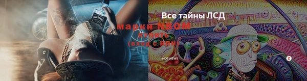 ешки Алексин