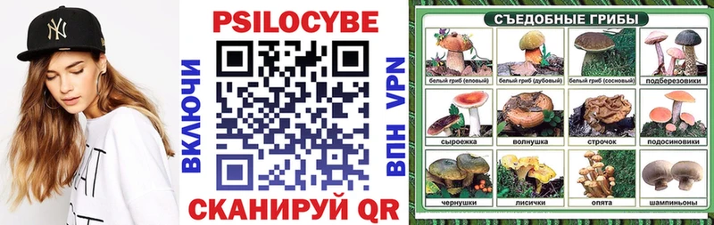 это телеграм  Ардон  Галлюциногенные грибы MAGIC MUSHROOMS 